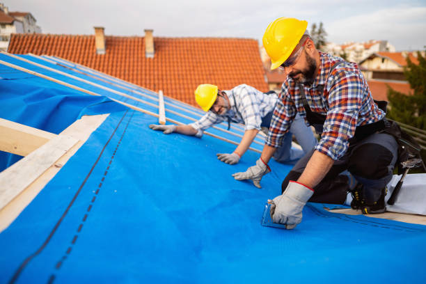 Professional Roofing Contractor in Aurora, MN
